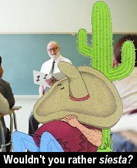 How'd a cactus end up in the classroom?
