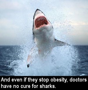 Sharks: the scourge of our next generation.